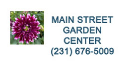 Mainstreet Garden 
